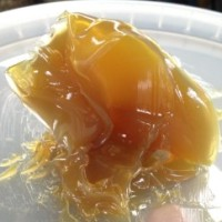 ��֬��������